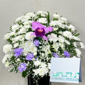 sk-s-CZ-04-TD